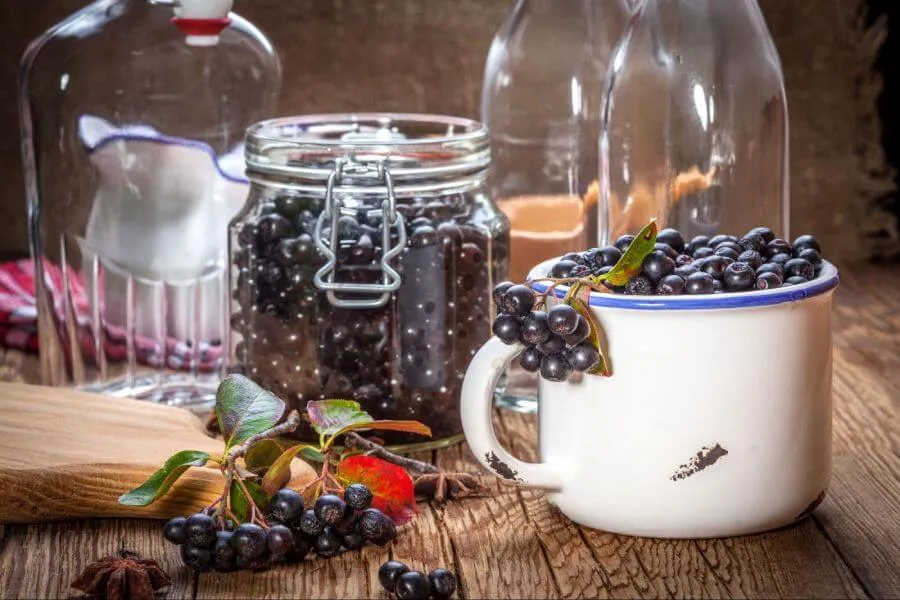 Słoiki z suszoną aronią