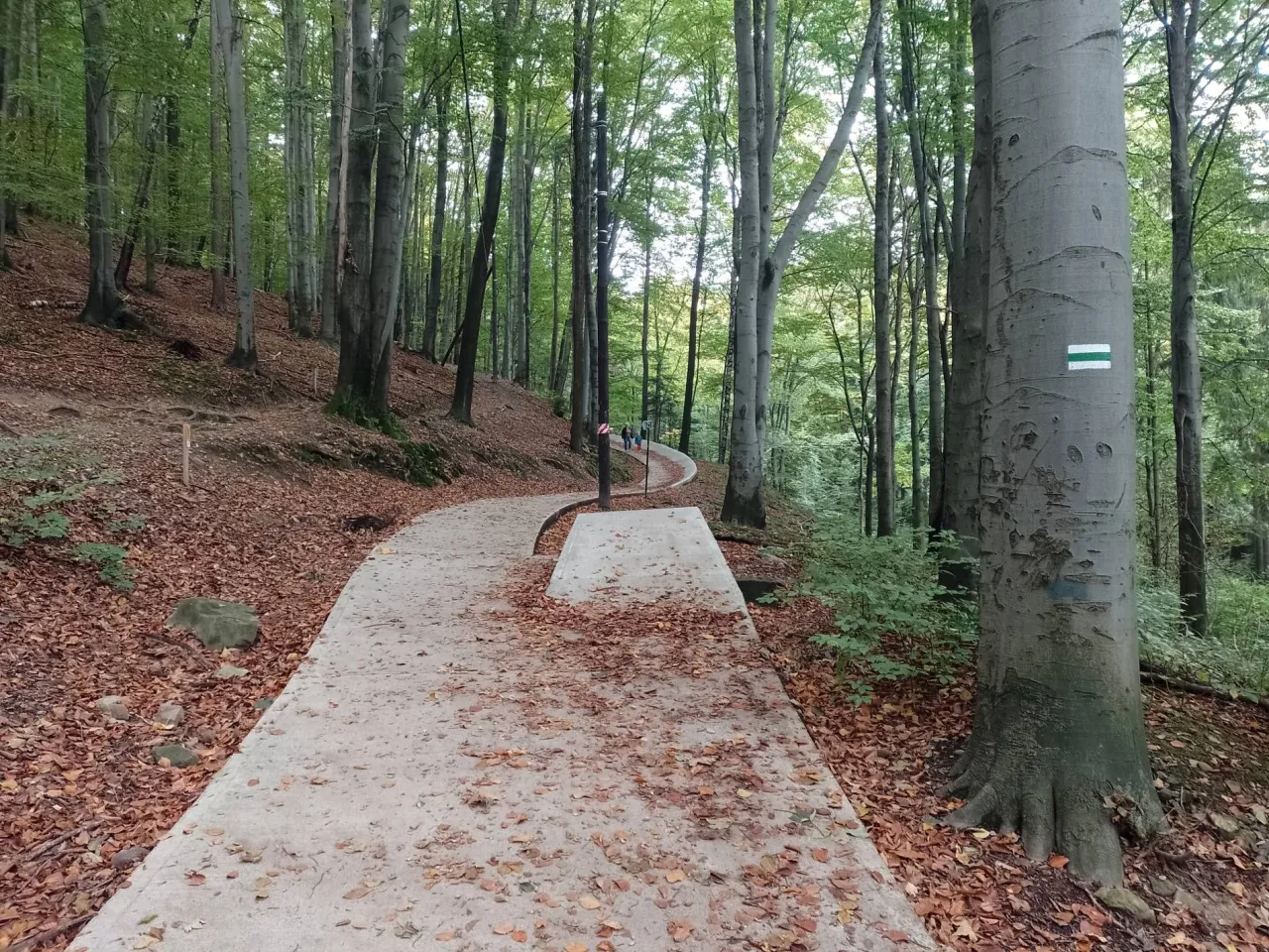 Parking Kozia Góra Cygański Las