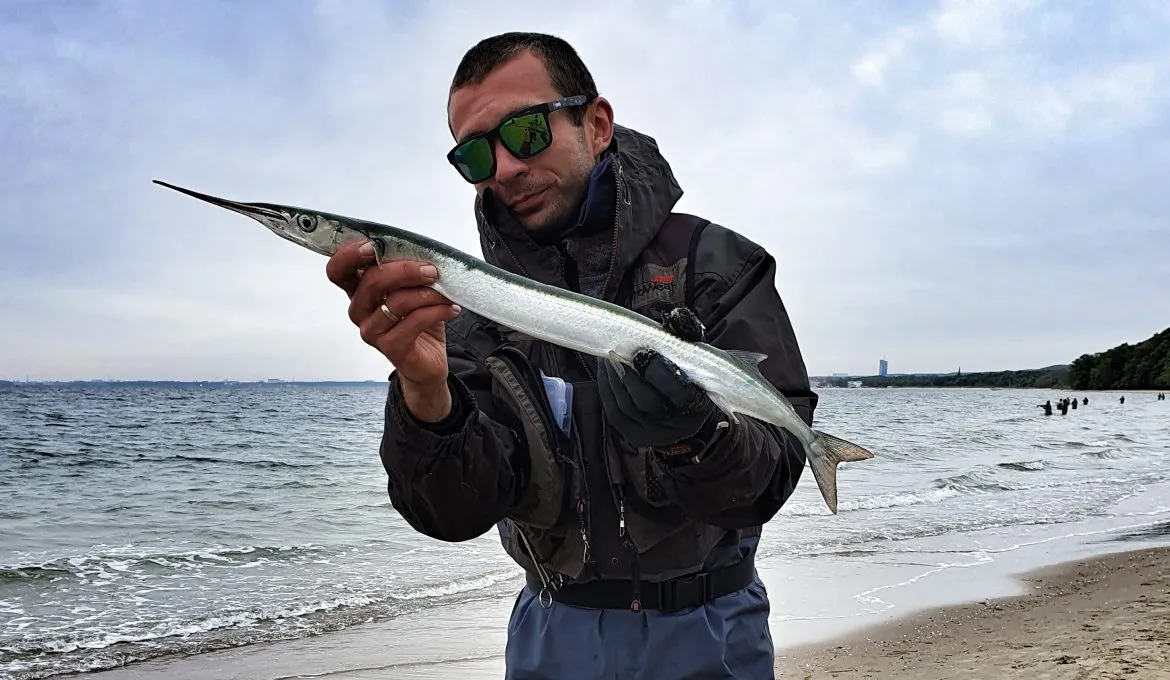 Wędkarz łowiący belonę na Bałtyku