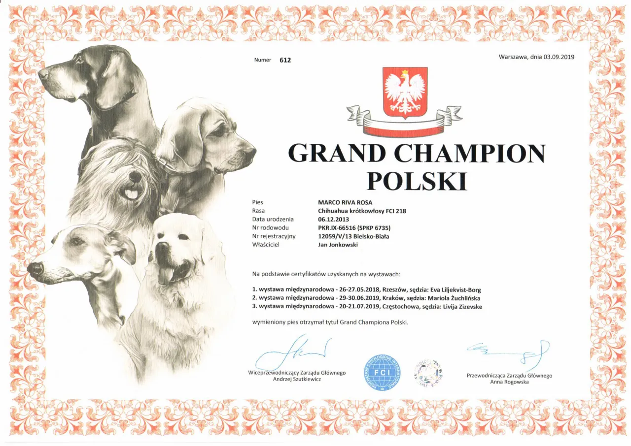 Pies rasowy z medalem Championa Polski