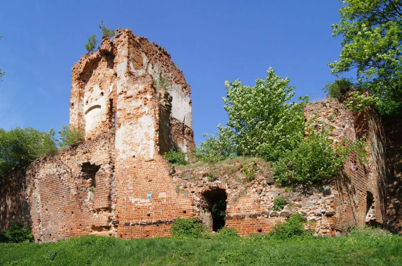 Zdjęcie Zamek w Miliczu: Historia, ruiny i tajemnice zapomnianego miejsca