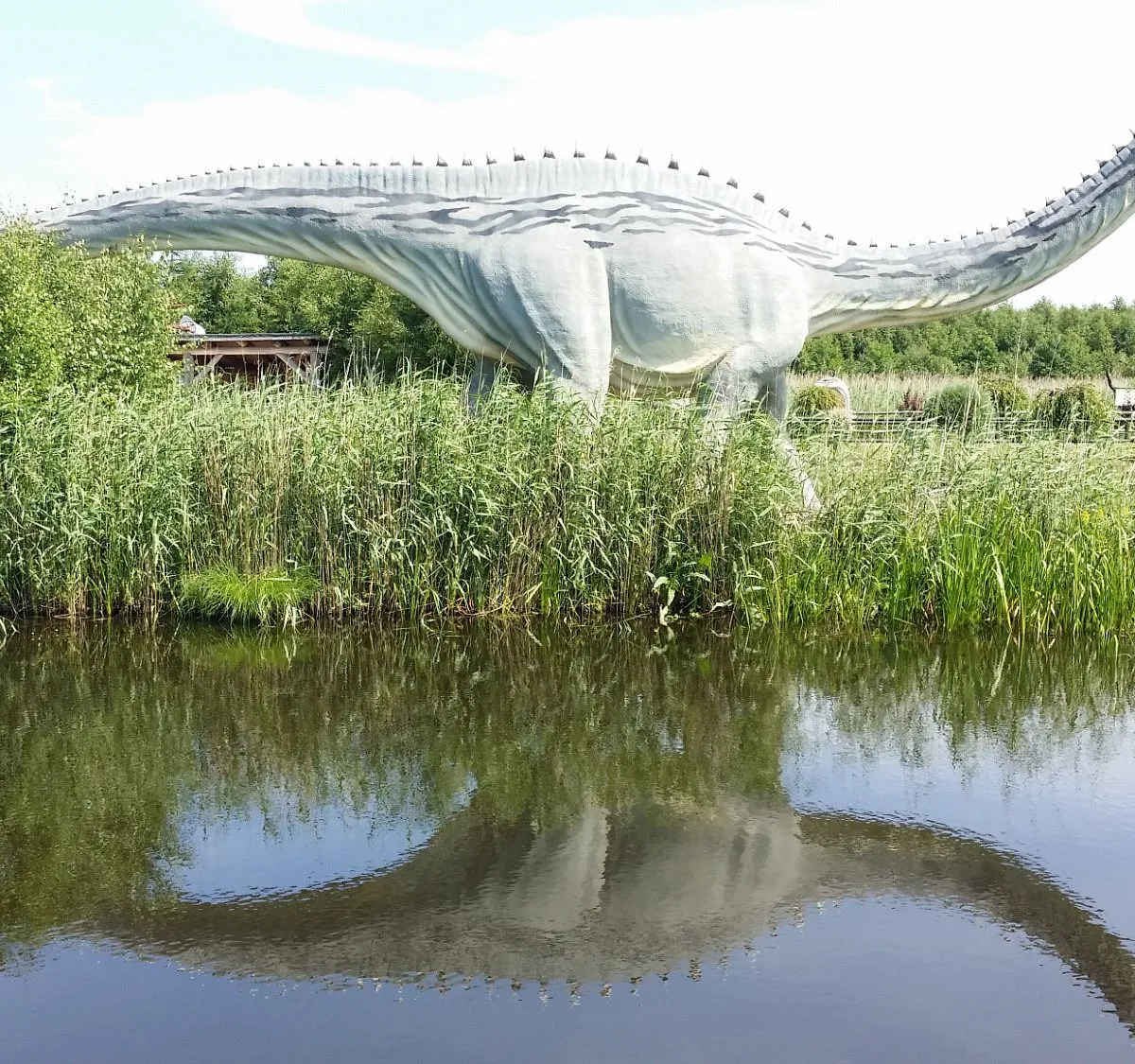 Zdjęcie  Największy Park Dinozaurów w Polsce - Dino Park Łeba