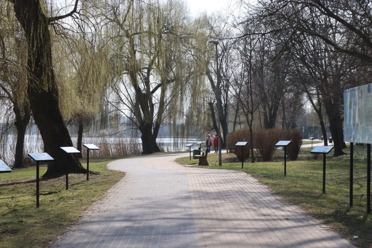 Zdjęcie Rogoźno atrakcje, które zaskoczą i zachwycą każdego turystę