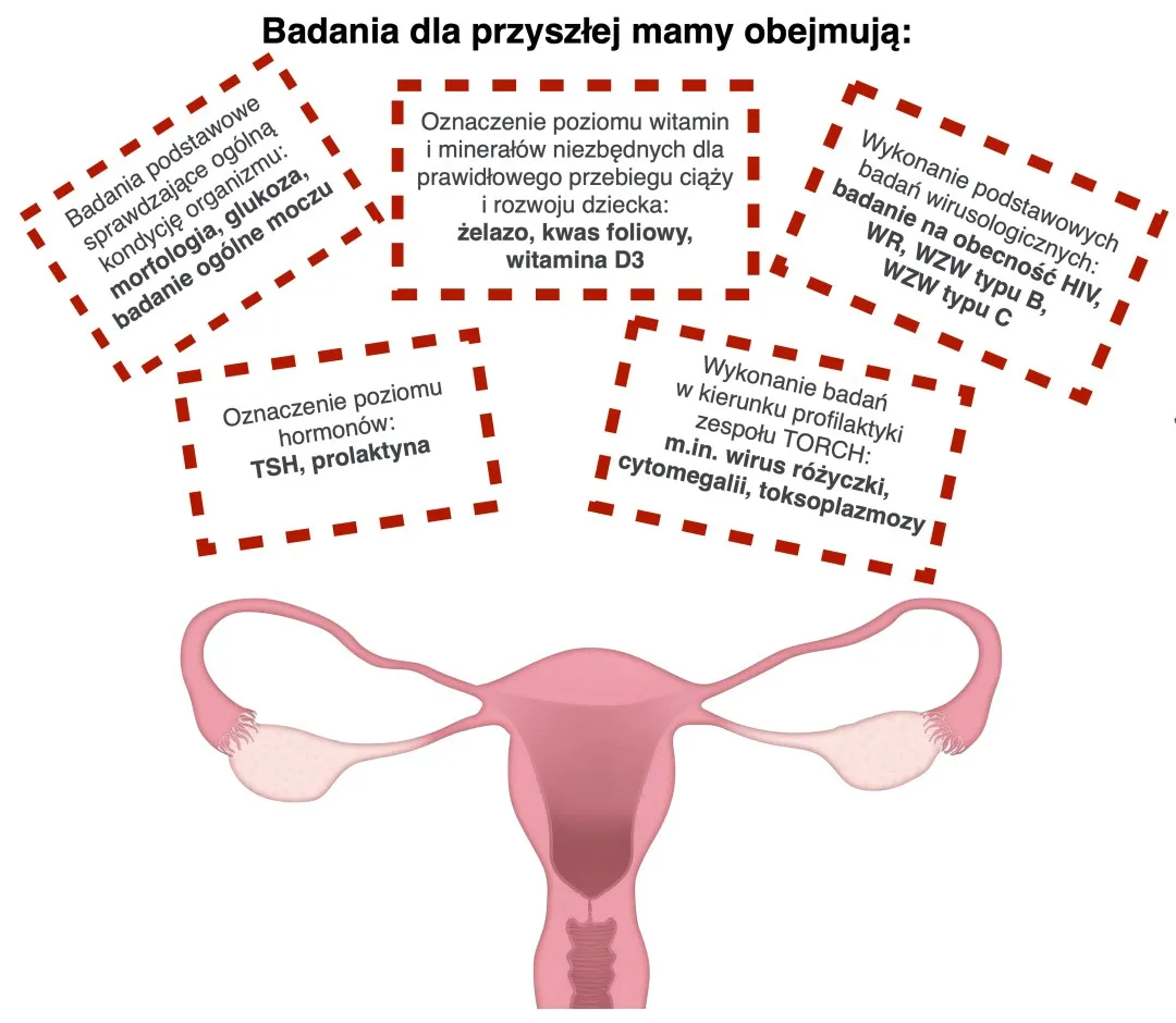 Zdjęcie Jakie badania przed ciążą są niezbędne dla zdrowia matki i dziecka?