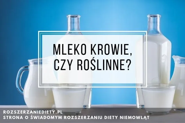 Zdjęcie Mleko roślinne dla niemowląt od kiedy? Unikaj błędów żywieniowych