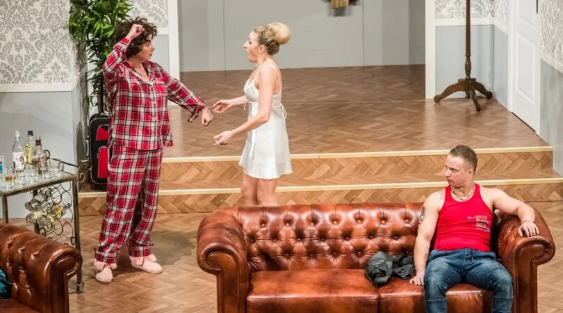 Zdjęcie Pomoc domowa w Teatrze Zagłębia - zaskakująca historia i bilety