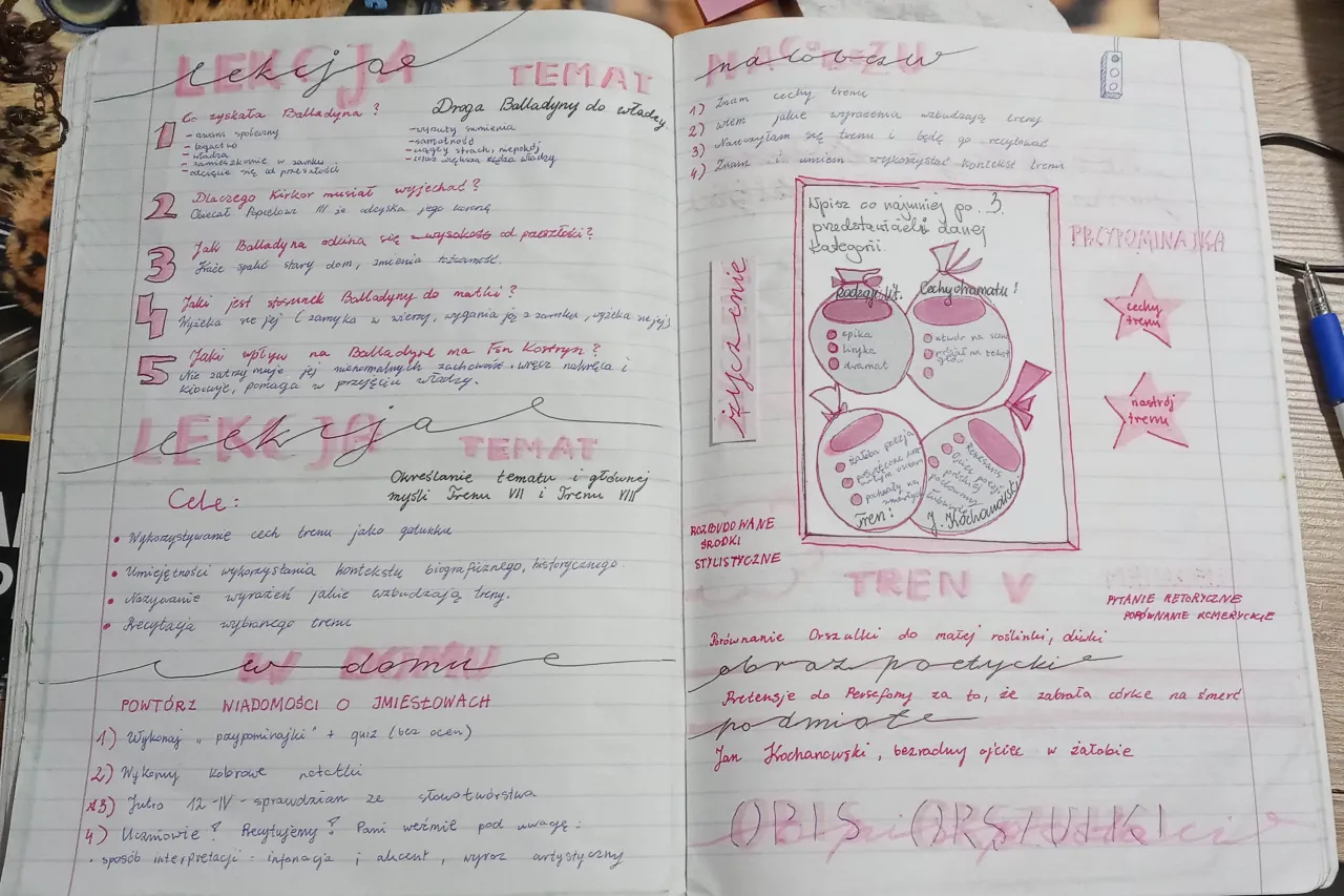 Zdjęcie Jak podpisać zeszyt do polskiego, aby uniknąć zamieszania w szkole
