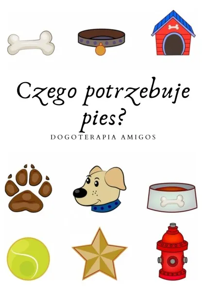 Zdjęcie Jakie przyprawy może jeść pies? Bezpieczne i szkodliwe przyprawy w diecie psa