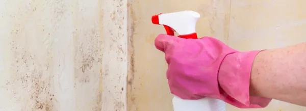 Zdjęcie Skuteczne sposoby na to, jak pozbyć się pleśni z szafek kuchennych