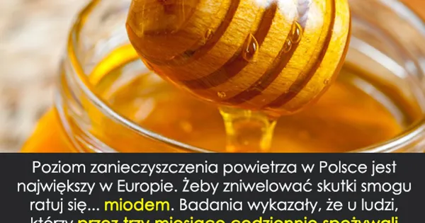 Zdjęcie Jaki miód na płuca? Najlepsze rodzaje miodu dla zdrowia układu oddechowego