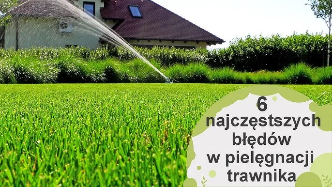 Zdjęcie Trawniki jak założyć: uniknij najczęstszych błędów i ciesz się zielenią