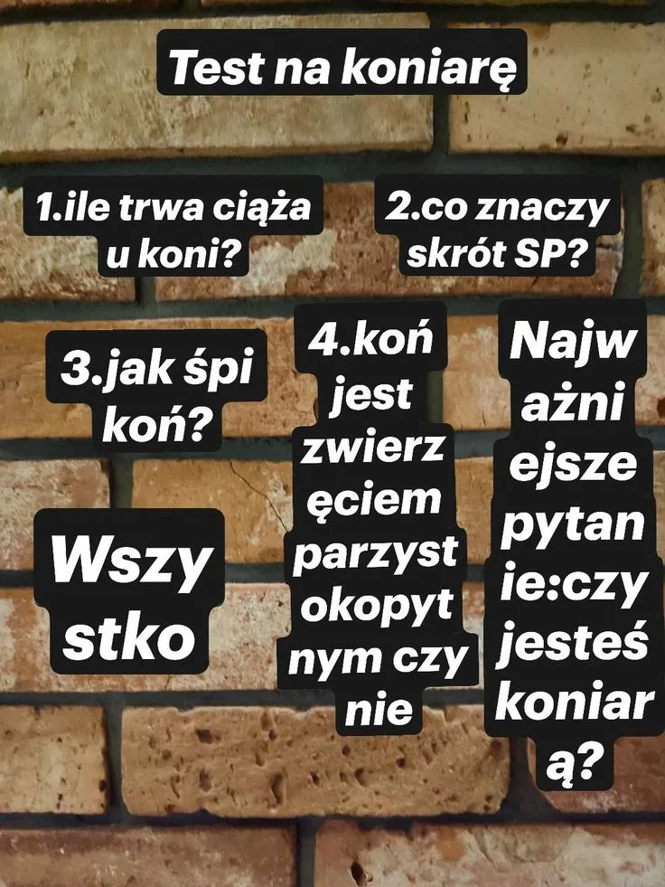 Zdjęcie Ciąża 2k2o - co oznacza ten skrót? Wyjaśniamy terminologię
