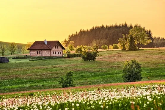 Zdjęcie Co można budować na działce siedliskowej? Praktyczne informacje i przepisy