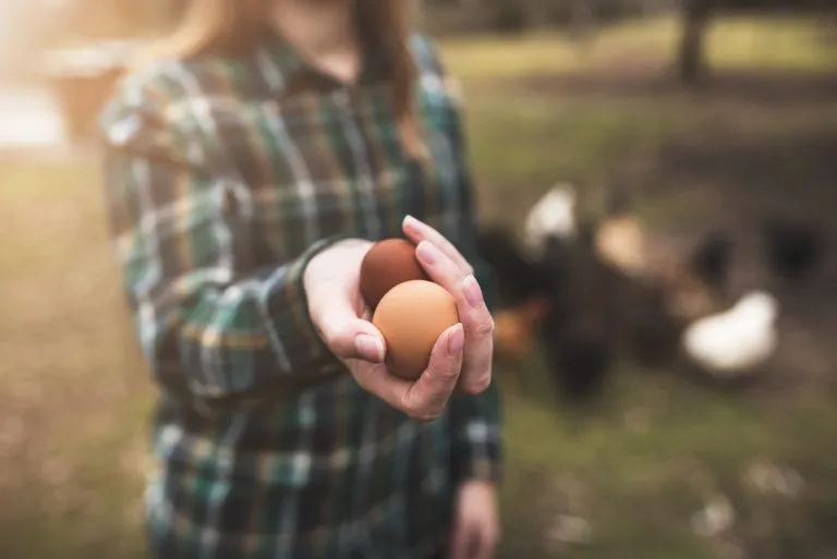 Zdjęcie Obalamy mity o jajkach: Prawda o cholesterolu i zdrowiu
