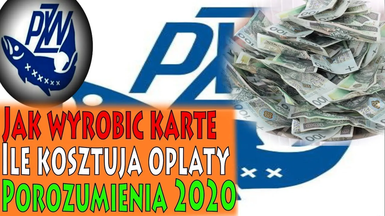 Zdjęcie Jakie są koszty karty wędkarskiej? Zobacz ceny i opłaty w Polsce