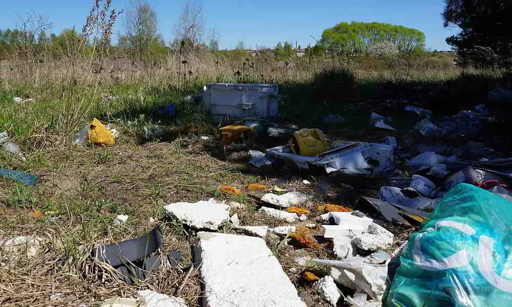 Zdjęcie Gdzie zgłosić zaśmiecanie terenu? Skuteczne sposoby na interwencję