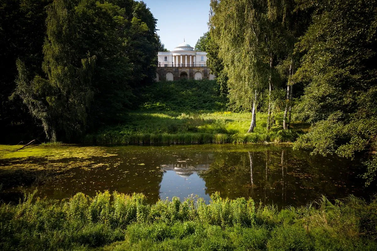 Zdjęcie Rezerwat przyrody Las Natoliński - tajemnice, historia i przyroda
