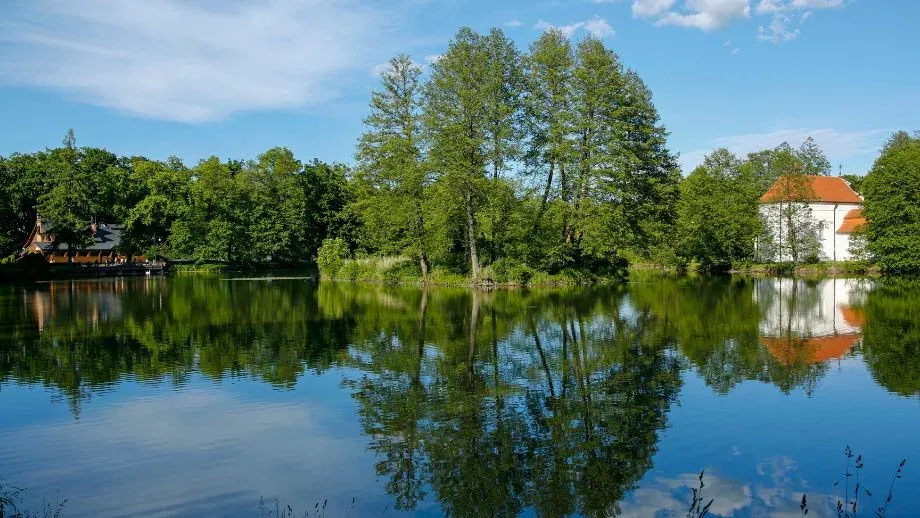 Zdjęcie Zwierzyniec atrakcje turystyczne – nie przegap tych wyjątkowych miejsc