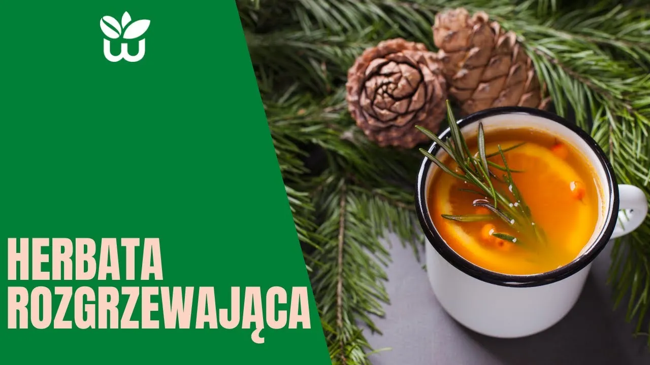 Zdjęcie Jak zrobić herbatę rozgrzewającą, która skutecznie podniesie temperaturę ciała