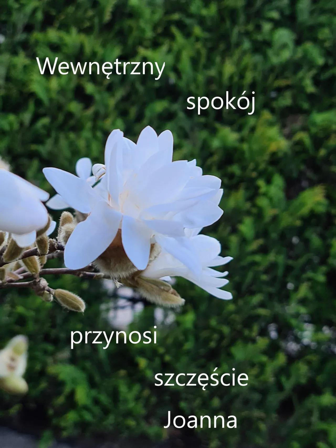 Zdjęcie Prosta modlitwa, która zmienia życie i przynosi wewnętrzny spokój