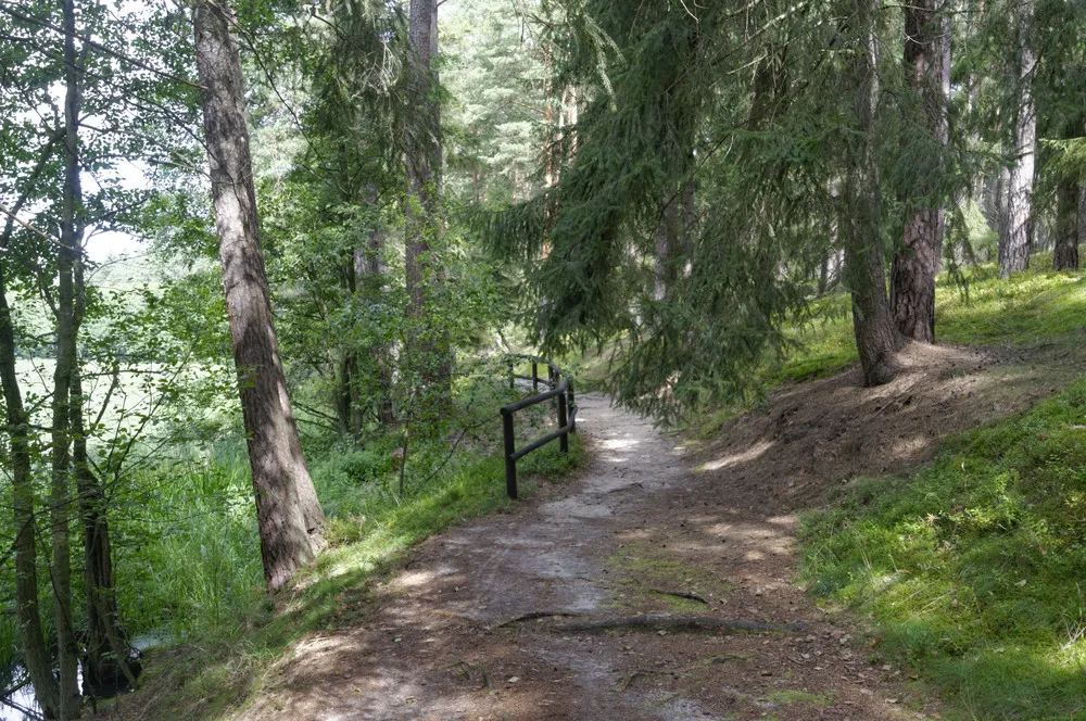 Zdjęcie Trasy rowerowe Bory Tucholskie mapa – odkryj najlepsze szlaki rowerowe
