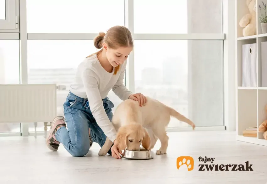 Zdjęcie Jak długo rośnie szczeniak? Odkryj, kiedy osiągnie pełny wzrost