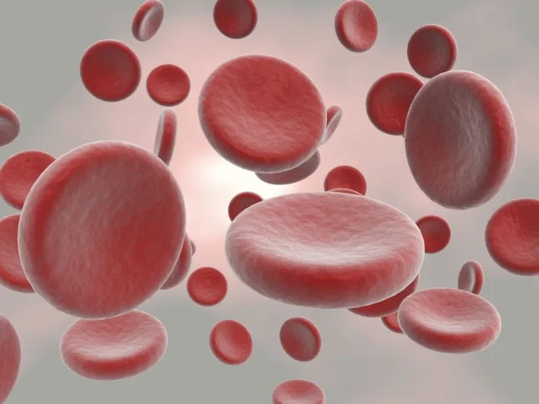 Zdjęcie Podwyższony poziom erytrocytów we krwi – przyczyny, objawy i skuteczne leczenie erytrocytozy