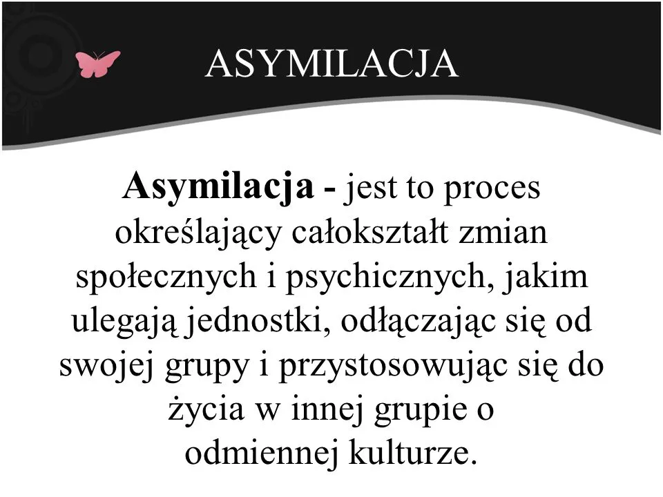 Zdjęcie Asymilacja co to? Definicja i znaczenie w różnych kontekstach