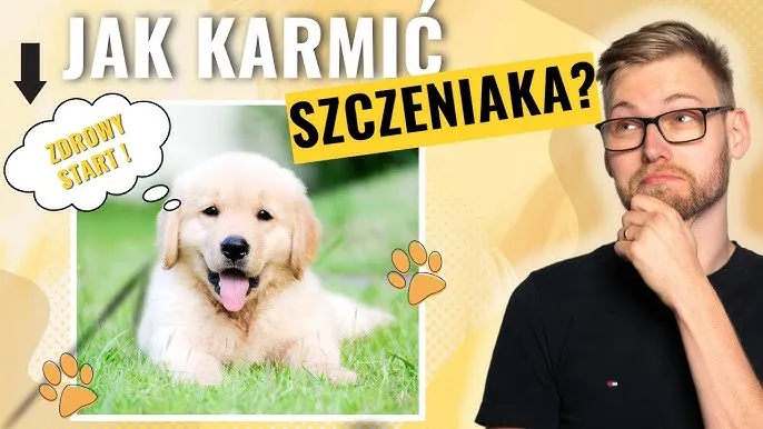 Zdjęcie Jak karmić szczeniaki 2 dniowe, aby zapewnić im zdrowy start