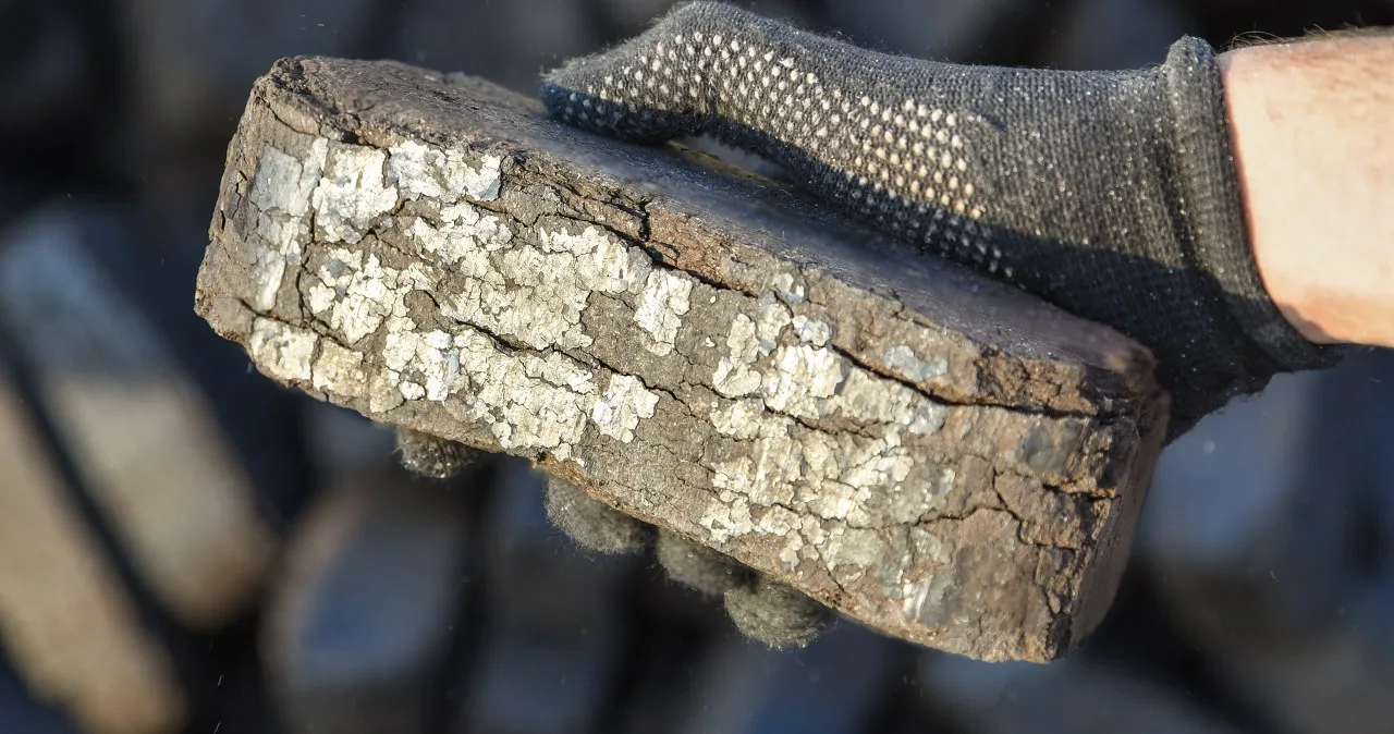 Zdjęcie Brykiet torfowy czy węgiel – co wybrać, aby zaoszczędzić i być eko?