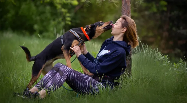 Zdjęcie Gdzie na spacer z psem w Lubelskiem? Odkryj najlepsze miejsca