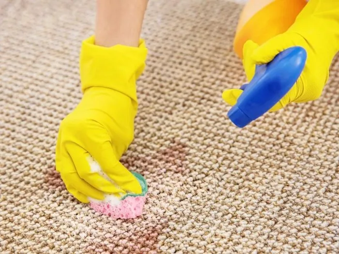 Zdjęcie Jak usunąć plamę z krwi z kanapy? Skuteczne metody