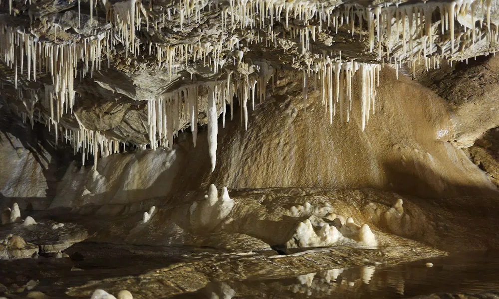 Zdjęcie Rezerwat przyrody Jaskinia Niedźwiedzia: Tajemnice i atrakcje Sudetów