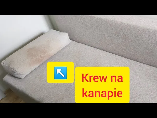 Zdjęcie Skuteczne sposoby na usunięcie plam z krwi z kanapy bez stresu