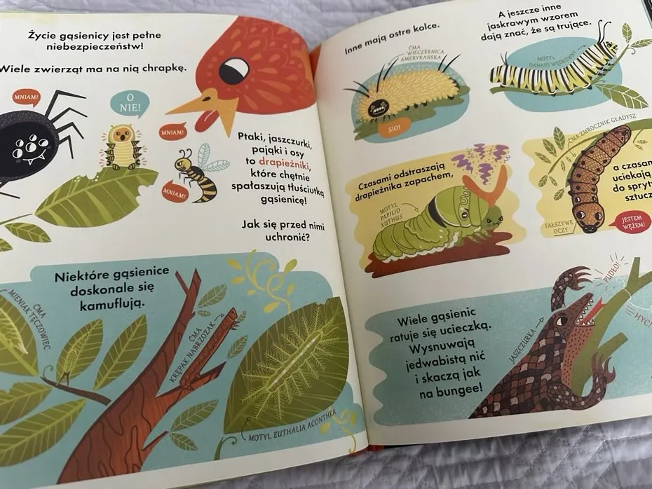 Zdjęcie Blog Ari Maj: Fascynujące wpisy i ciekawa tematyka autora