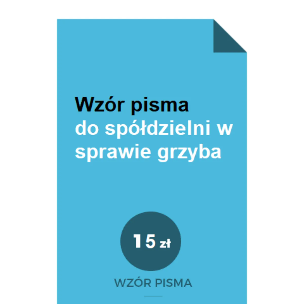 Zdjęcie Jak napisać pismo do spółdzielni mieszkaniowej w sprawie grzyba i uniknąć problemów