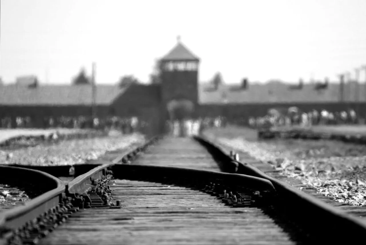 Zdjęcie Filmy o zagładzie, które zmieniają spojrzenie na historię Holokaustu