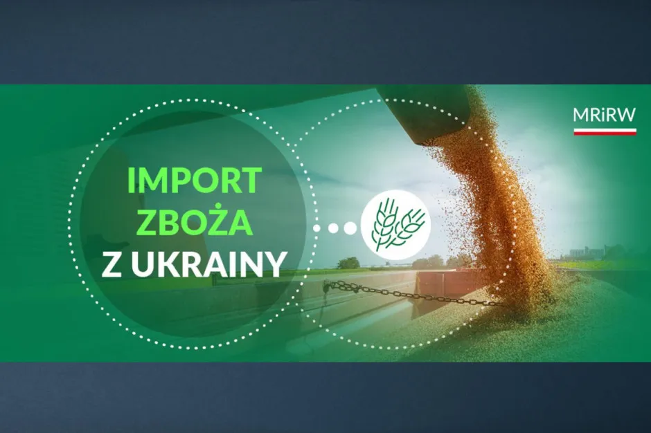 Zdjęcie Jakie firmy sprowadzają zboże z Ukrainy? Odkryj ważne informacje