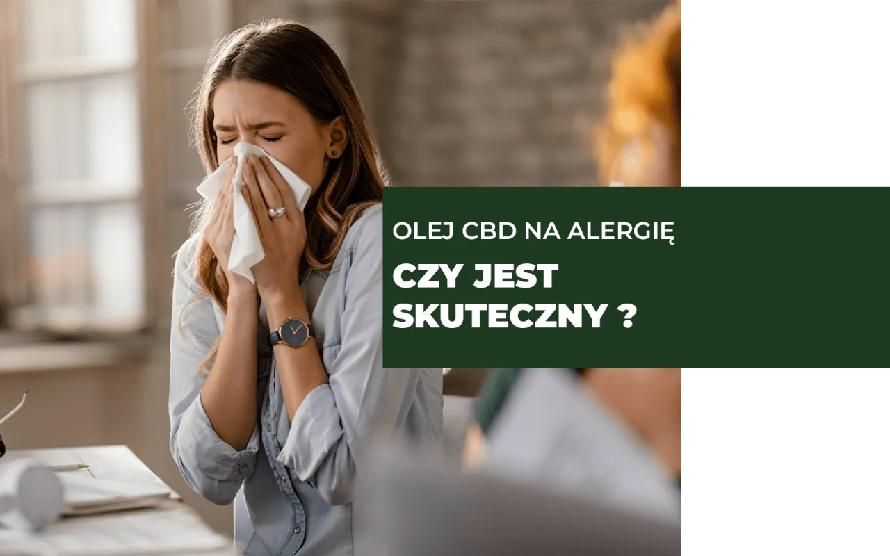 Zdjęcie Czy olej konopny uczula? Objawy alergii i bezpieczeństwo stosowania.