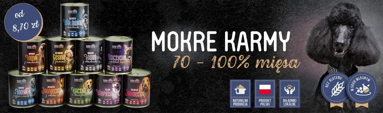 Zdjęcie Czy pies może jeść paluszki? Dowiedz się, co jest niebezpieczne dla psa