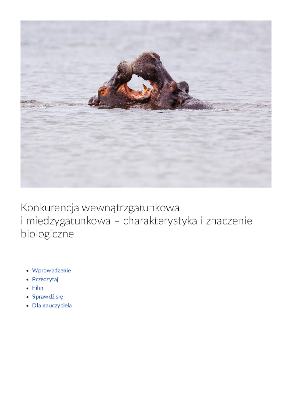 Zdjęcie Konkurencja w biologii: jak organizmy rywalizują o przetrwanie