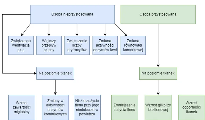 Zdjęcie Jakie jest ciśnienie w górach i jak wpływa na zdrowie? Praktyczne porady dla turystów