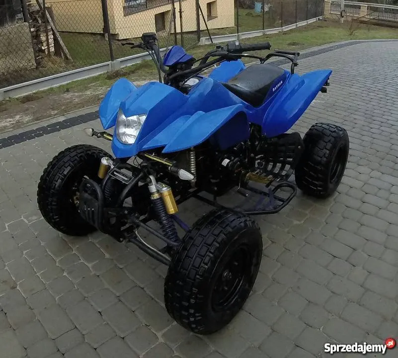 Zdjęcie Ile koni ma Bashan 250? Moc silnika, specyfikacja i więcej informacji