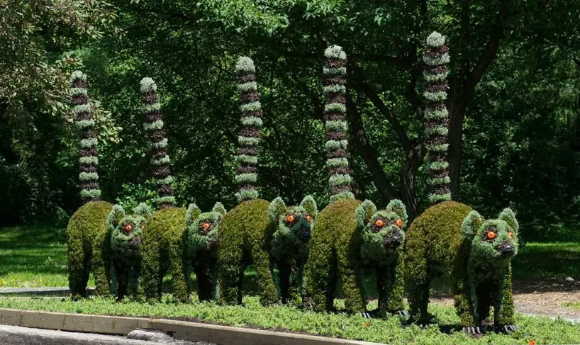 Zdjęcie Rzeźby z roślin: Odkryj tajniki sztuki topiary i jej historię
