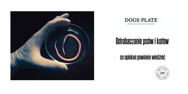 Zdjęcie Jak działa tabletka na odrobaczanie psa i co musisz wiedzieć