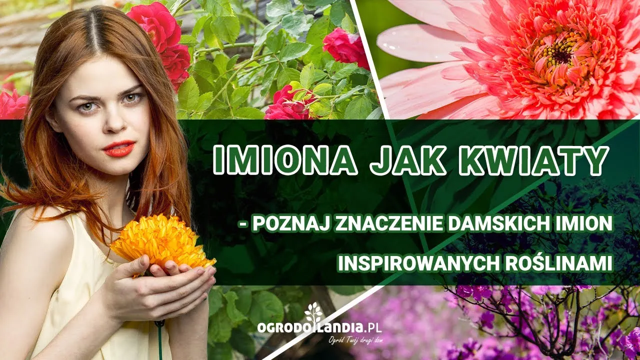 Zdjęcie Zabawne znaczenie imion damskich - 10 zaskakujących interpretacji