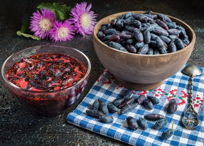 Zdjęcie Jak zrobić sok z jagody kamczackiej - prosty przepis na zdrowie