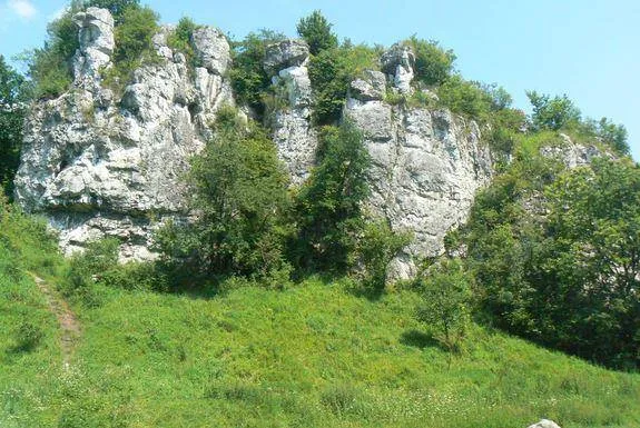 Zdjęcie Rezerwat przyrody Dolina Kluczwody - odkryj jego niezwykłe skarby