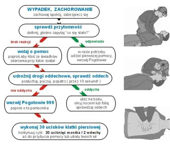 Zdjęcie Kto może udzielić pierwszej pomocy? Obowiązki i odpowiedzialność w Polsce