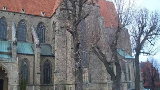 Zdjęcie Strzegom atrakcje - odkryj najciekawsze miejsca, które musisz zobaczyć